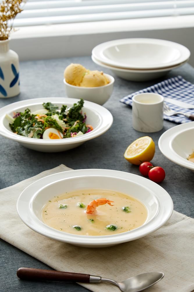 9-inch Porcelain Dinner Plate Set of 6 - Microwave, Oven and Dishwasher Safe, Scratch Resistant. (White)